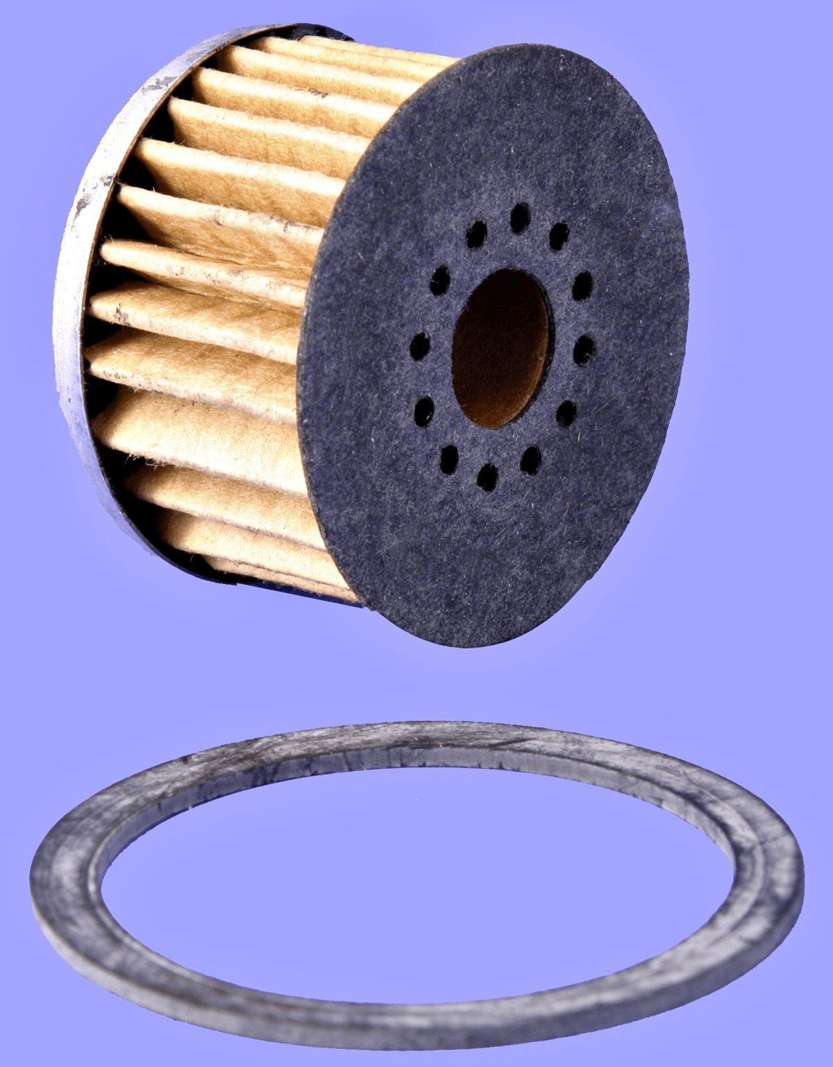 Benzinfilter
