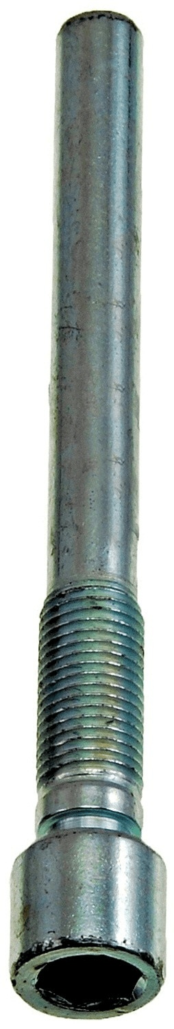 Bremssattelschraube