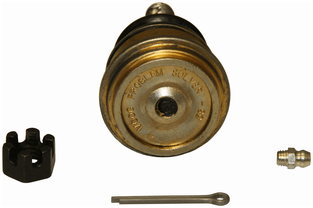 Traggelenk Traggelenk