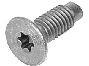 Schraube Torx