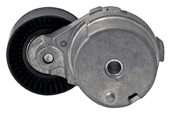 Treibriemenspanner 5.0L Mustang F150