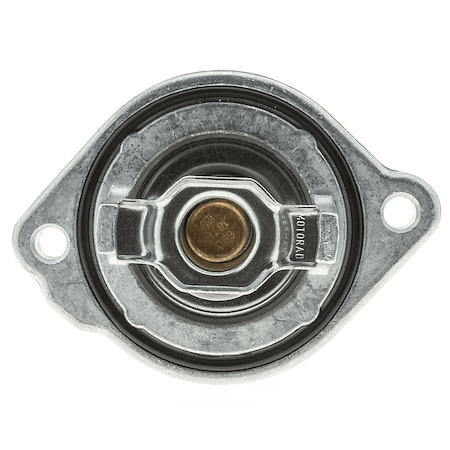 Thermostat mit Gehäuse Hummer H3