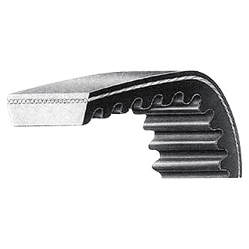 Steuerriemen