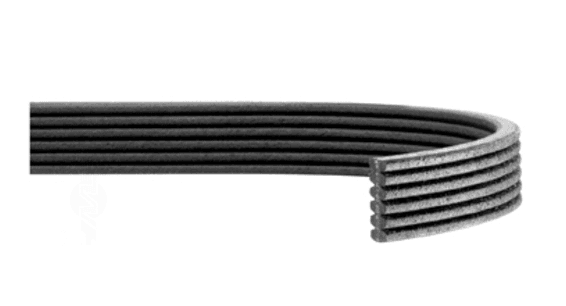 Treibriemen XLR Treibriemen XLR