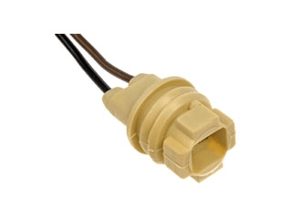 Fassung